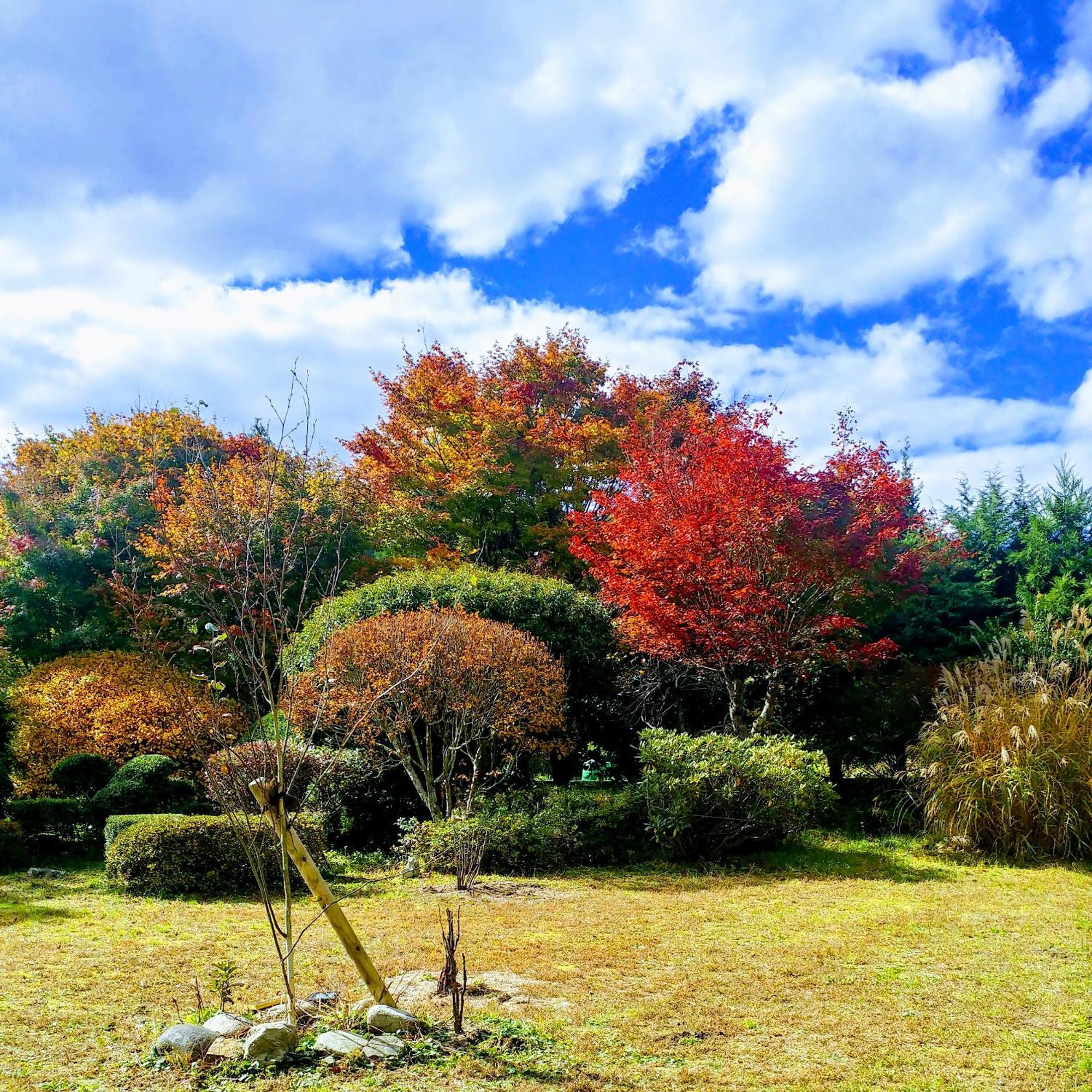 Hostal さいの郷「椛」 Kagamino Exterior foto